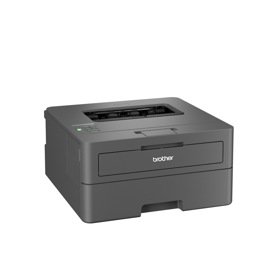 Brother HL-L2400DWE Mono laser-3