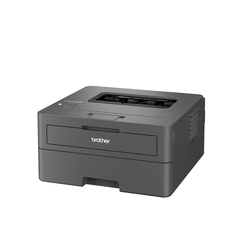Brother HL-L2400DWE Mono laser-7