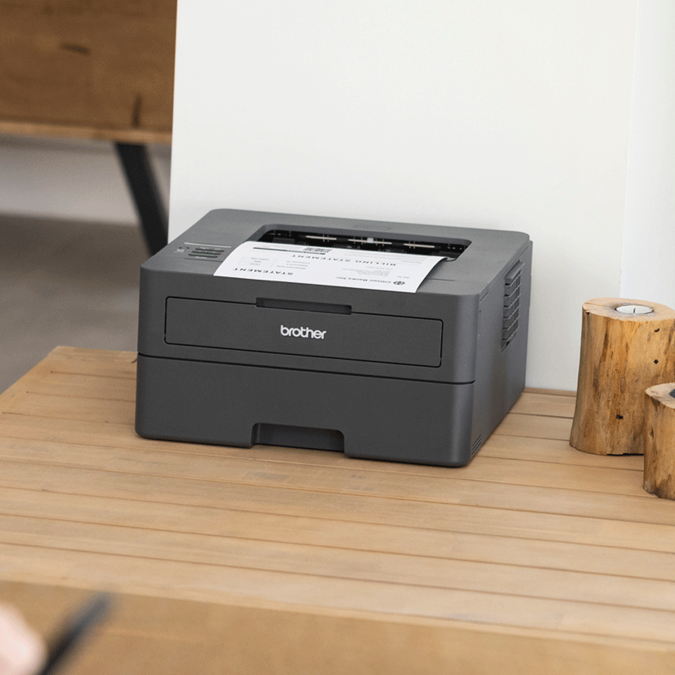 Brother HL-L2400DWE Mono laser-8
