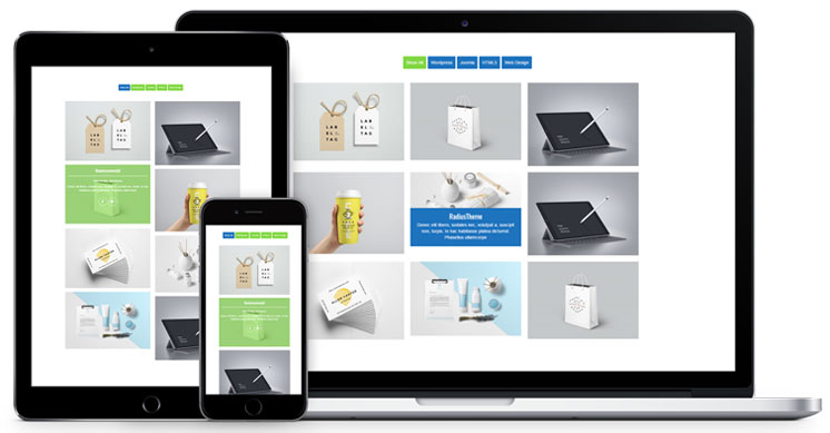 TLP Portfolio Pro for WordPress - Single Site