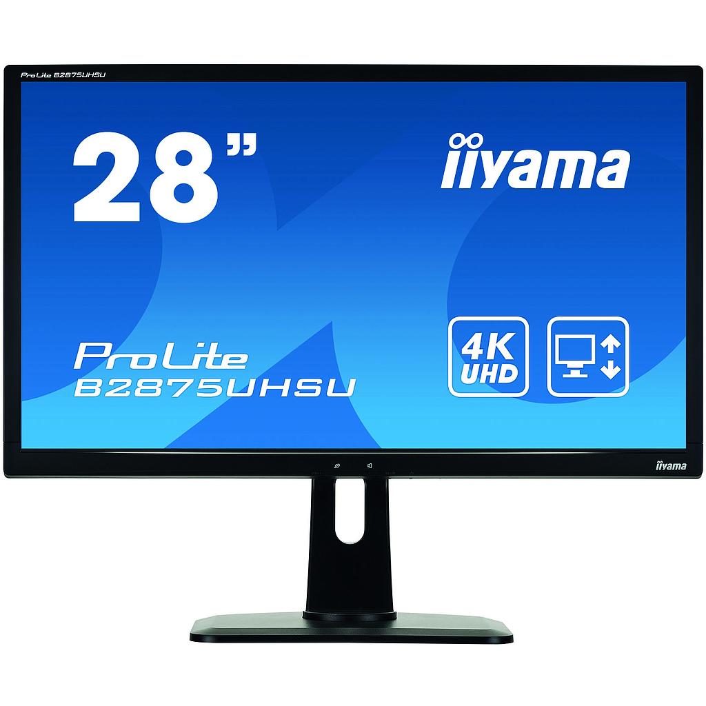 Iiyama B2875UHSU-B1 Zwart
