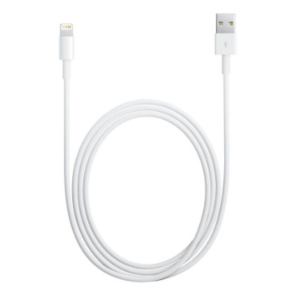 Apple Lightning - USB kabel 1m