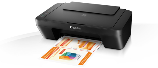 Canon Multifunctional PIXMA MG2550S 3 in 1