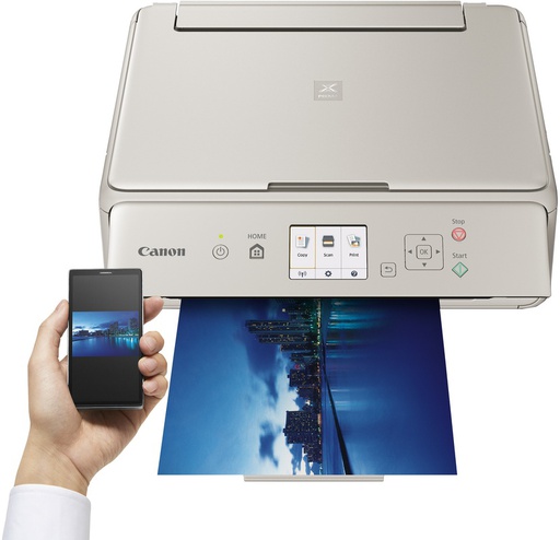 [1367C066] Canon Pixma TS5053