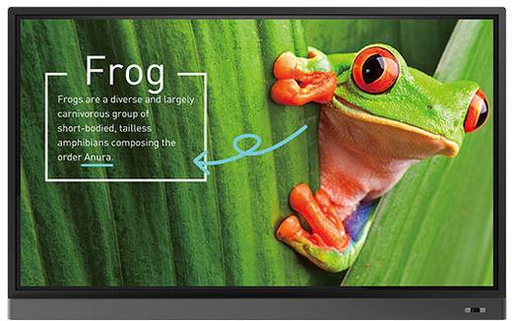 [9H.F4ATK.DE1] BenQ RM7501K 4K inclusief Soundbar