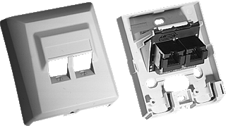 [19820BAM] Ackermann 2 x RJ45 kunststof crème-wit