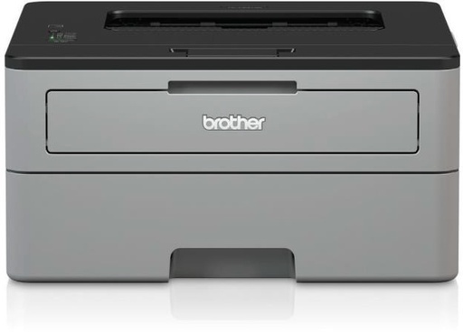 [HLL2310DG1] Brother HL-L2310D