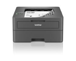[HLL2445DWRE1] Brother HL-L2445DW