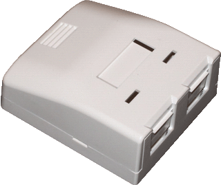 [R396400058] Radiall R396400058 - Radial wandopbouwdoos 2-voudig cat6e zuiver wit